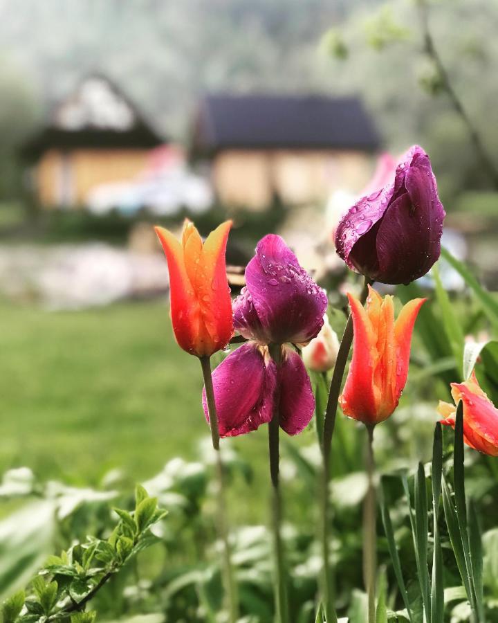 Mala Gorczanska Chatka Ochotnica Dolna Экстерьер фото
